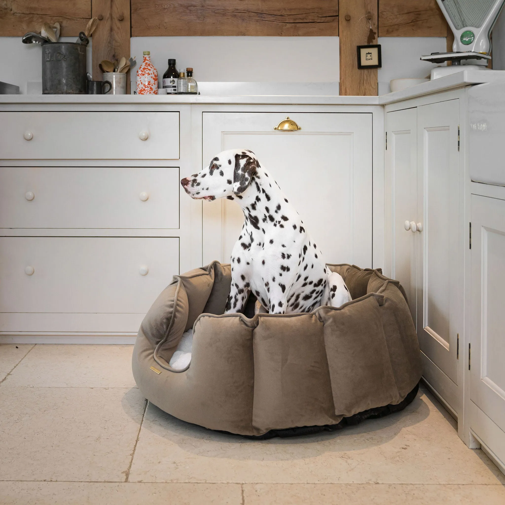 High Wall Bed in Clay Velvet by Lords & Labradors