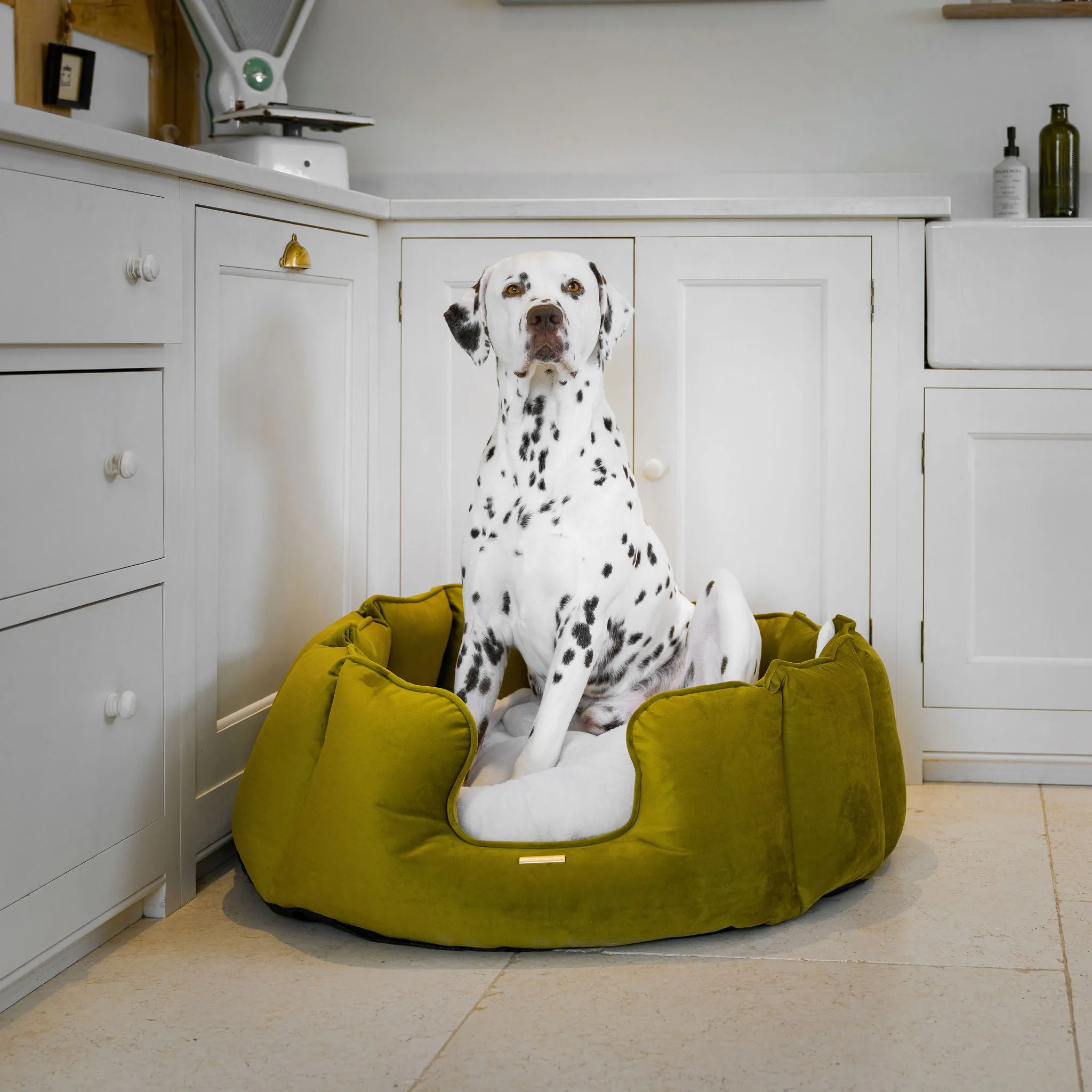 High Wall Bed in Olive Velvet by Lords & Labradors