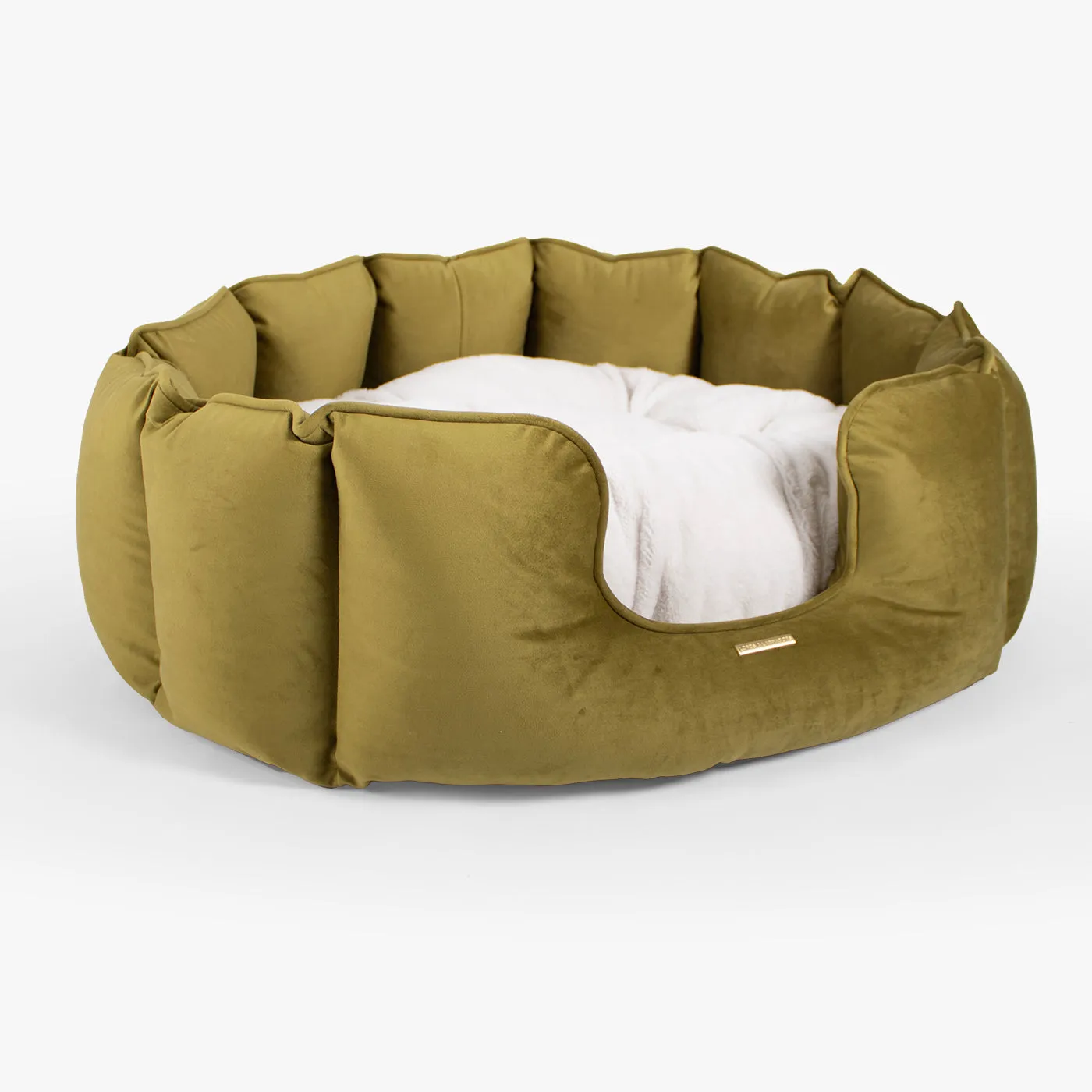 High Wall Bed in Olive Velvet by Lords & Labradors