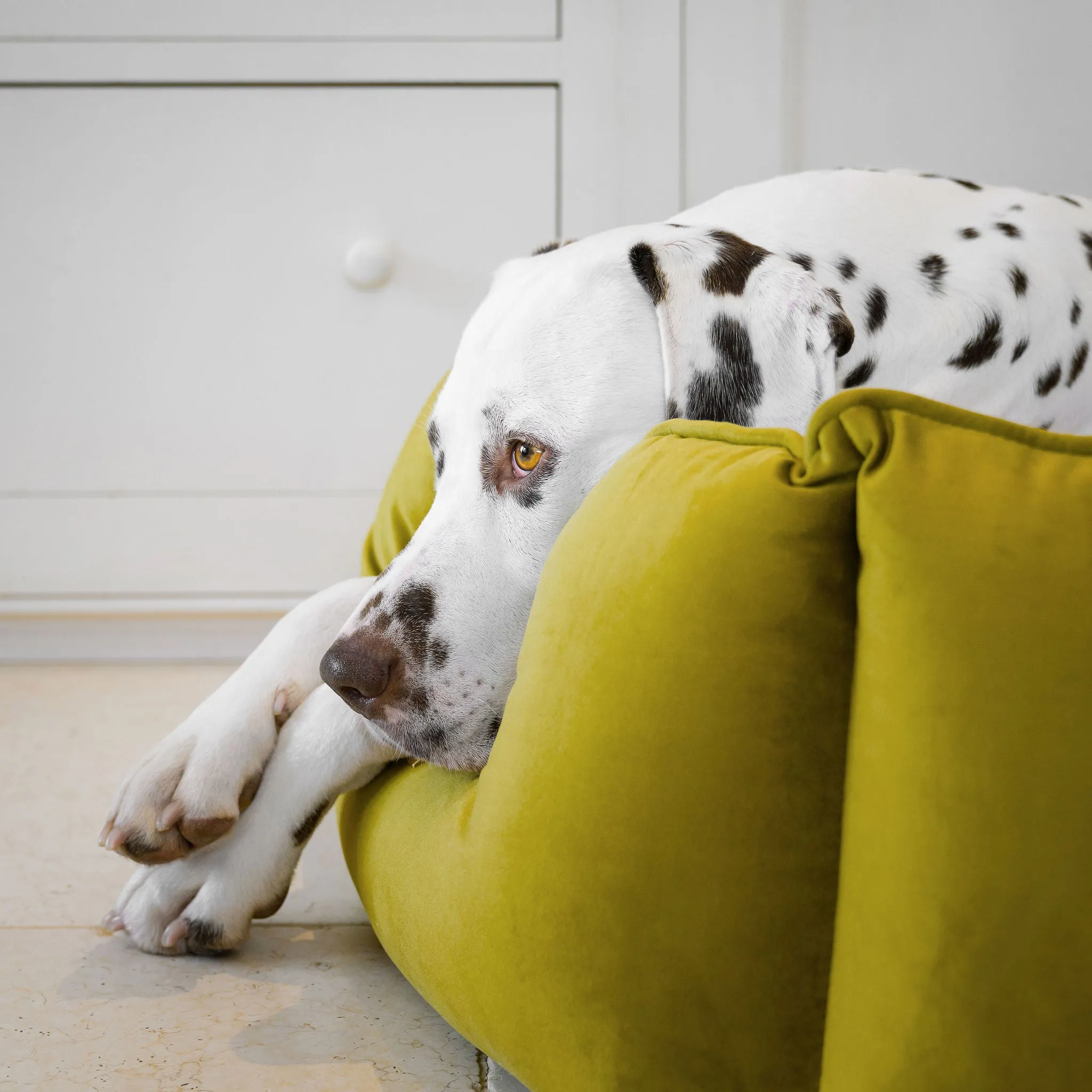 High Wall Bed in Olive Velvet by Lords & Labradors